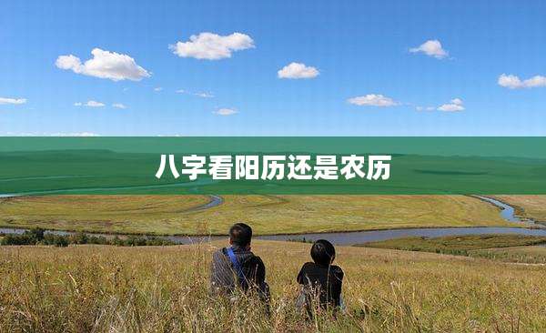八字看阳历还是农历