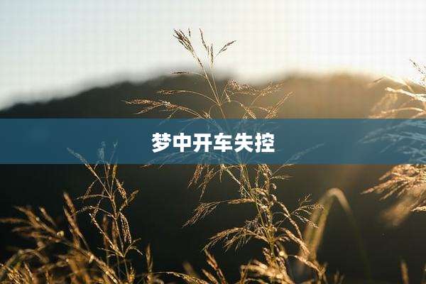 梦中开车失控