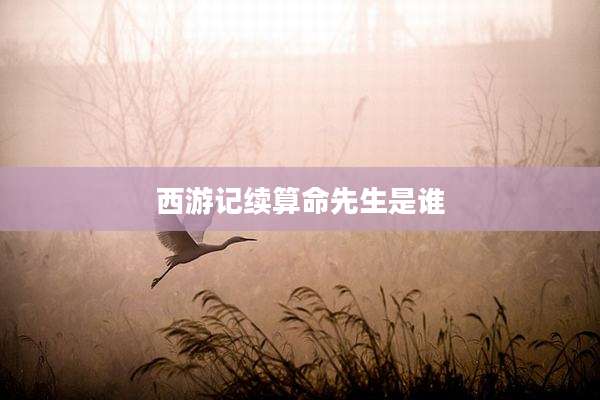 西游记续算命先生是谁