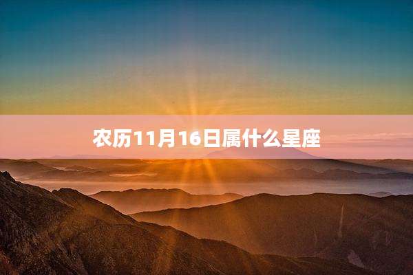 农历11月16日属什么星座