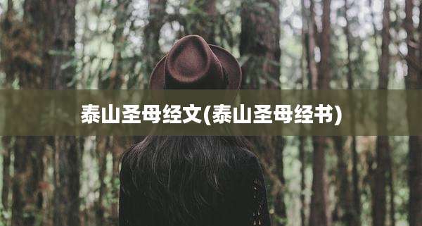 泰山圣母经文(泰山圣母经书)