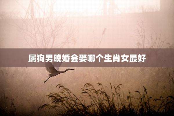 属狗男晚婚会娶哪个生肖女最好