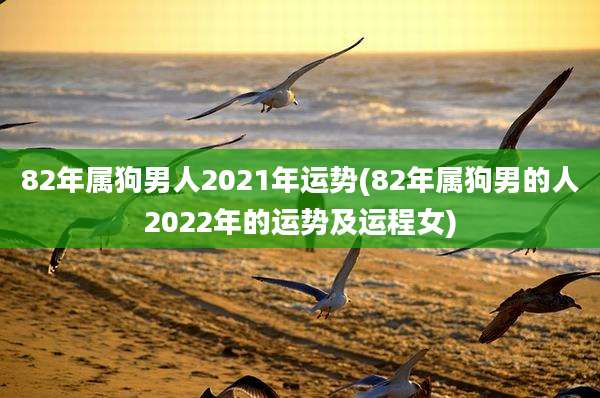 82年属狗男人2021年运势(82年属狗男的人2022年的运势及运程女)
