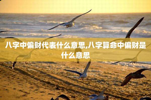八字中偏财代表什么意思,八字算命中偏财是什么意思
