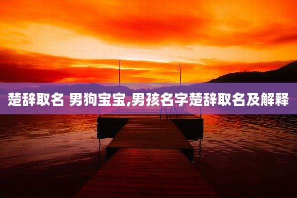 楚辞取名 男狗宝宝,男孩名字楚辞取名及解释