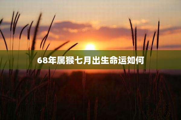 68年属猴七月出生命运如何