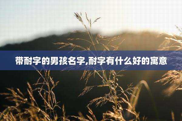 带耐字的男孩名字,耐字有什么好的寓意