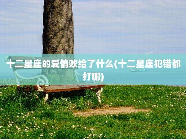 十二星座的爱情败给了什么(十二星座犯错都打哪)