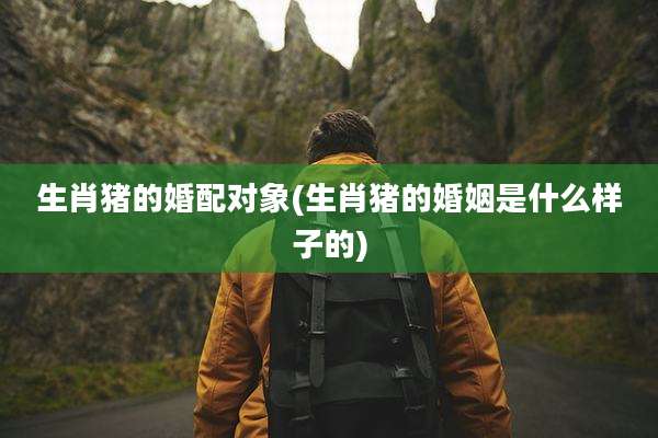 生肖猪的婚配对象(生肖猪的婚姻是什么样子的)