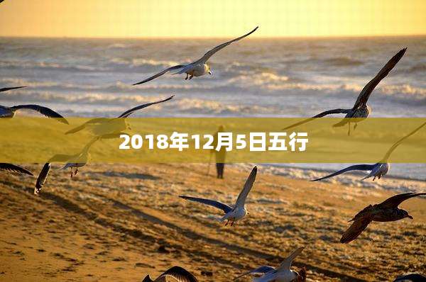 2018年12月5日五行