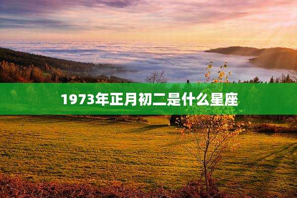 1973年正月初二是什么星座