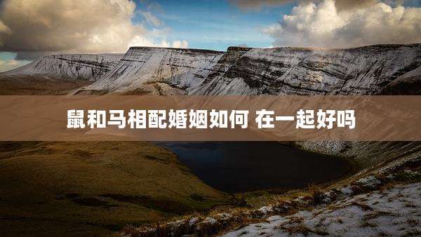 鼠和马相配婚姻如何 在一起好吗