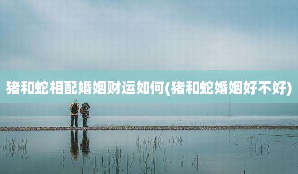 猪和蛇相配婚姻财运如何(猪和蛇婚姻好不好)