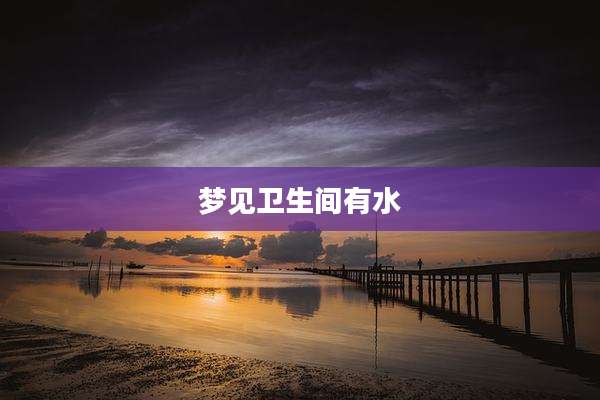 梦见卫生间有水