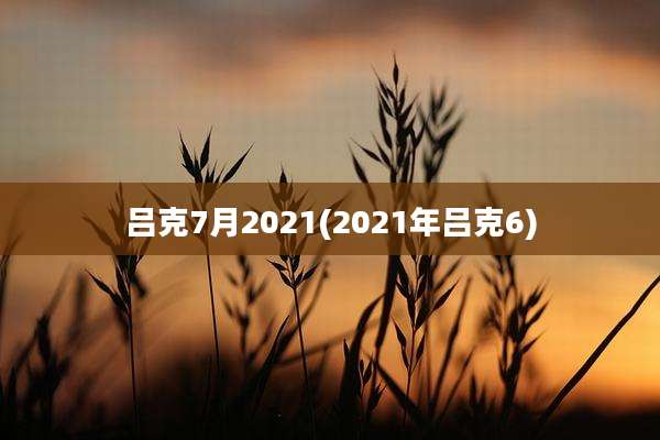 吕克7月2021(2021年吕克6)