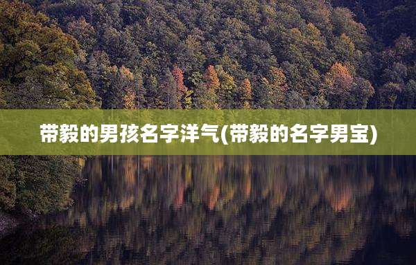 带毅的男孩名字洋气(带毅的名字男宝)
