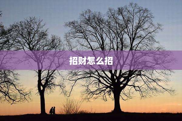 招财怎么招