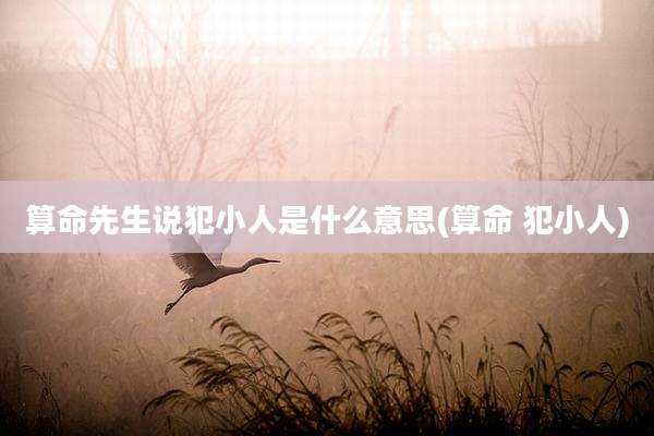 算命先生说犯小人是什么意思(算命 犯小人)