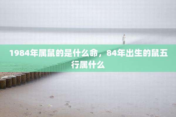 1984年属鼠的是什么命,84年出生的鼠五行属什么