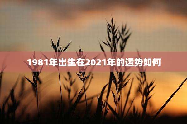 1981年出生在2021年的运势如何