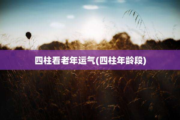 四柱看老年运气(四柱年龄段)