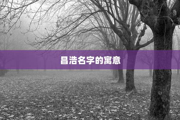 昌浩名字的寓意