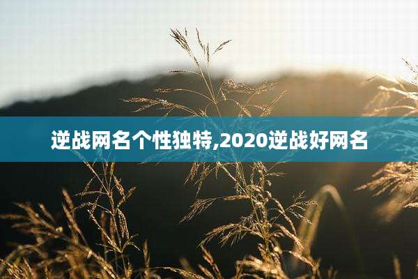 逆战网名个性独特,2020逆战好网名