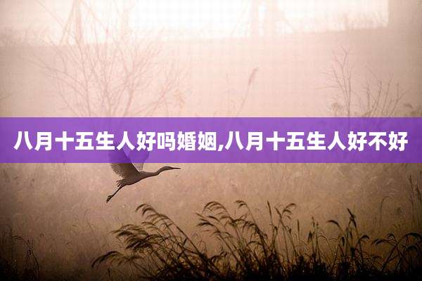 八月十五生人好吗婚姻,八月十五生人好不好