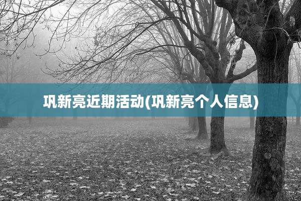 巩新亮近期活动(巩新亮个人信息)