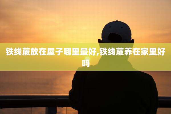 铁线蕨放在屋子哪里最好,铁线蕨养在家里好吗