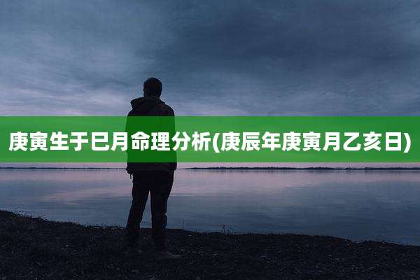 庚寅生于巳月命理分析(庚辰年庚寅月乙亥日)