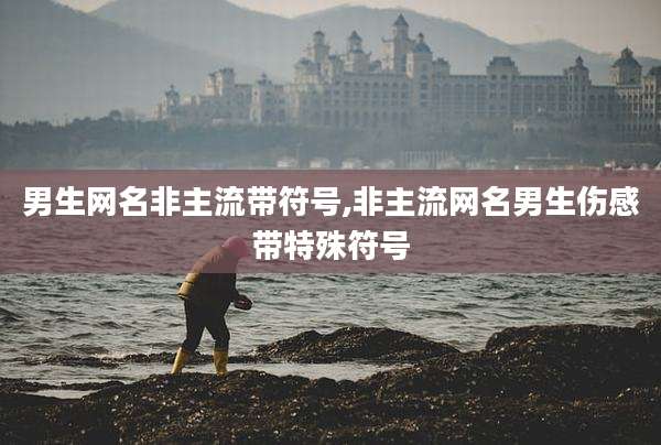 男生网名非主流带符号,非主流网名男生伤感带特殊符号