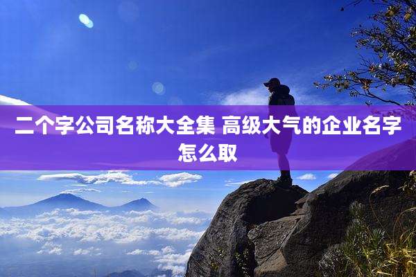 二个字公司名称大全集 高级大气的企业名字怎么取