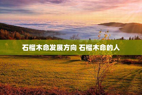 石榴木命发展方向 石榴木命的人