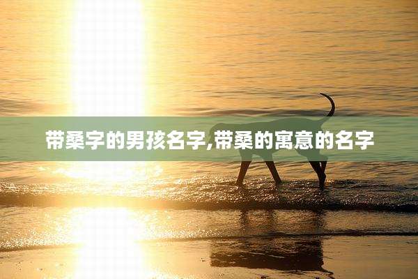带桑字的男孩名字,带桑的寓意的名字