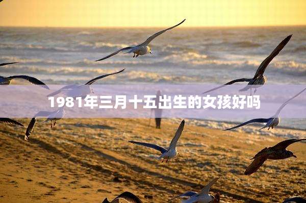 1981年三月十五出生的女孩好吗