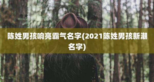 陈姓男孩响亮霸气名字(2021陈姓男孩新潮名字)