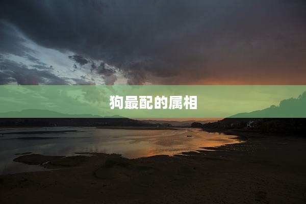 狗最配的属相