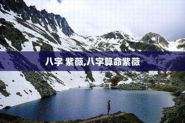 八字 紫薇,八字算命紫薇
