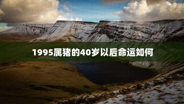 1995属猪的40岁以后命运如何
