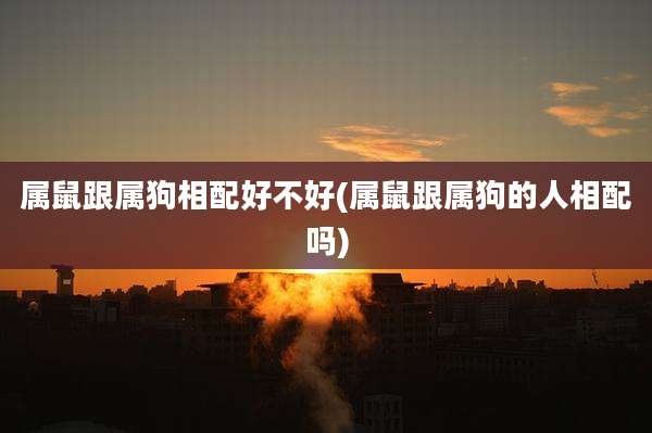 属鼠跟属狗相配好不好(属鼠跟属狗的人相配吗)