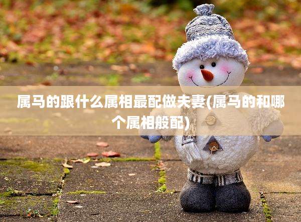 属马的跟什么属相最配做夫妻(属马的和哪个属相般配)