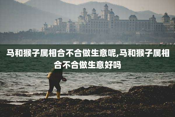 马和猴子属相合不合做生意呢,马和猴子属相合不合做生意好吗