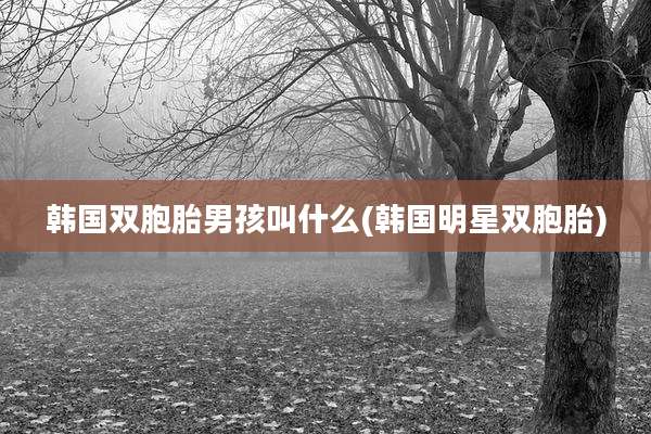 韩国双胞胎男孩叫什么(韩国明星双胞胎)