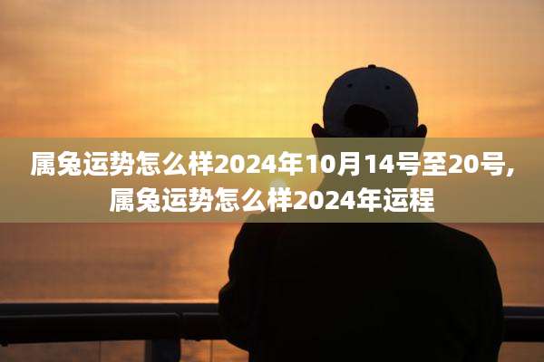 属兔运势怎么样2024年10月14号至20号,属兔运势怎么样2024年运程
