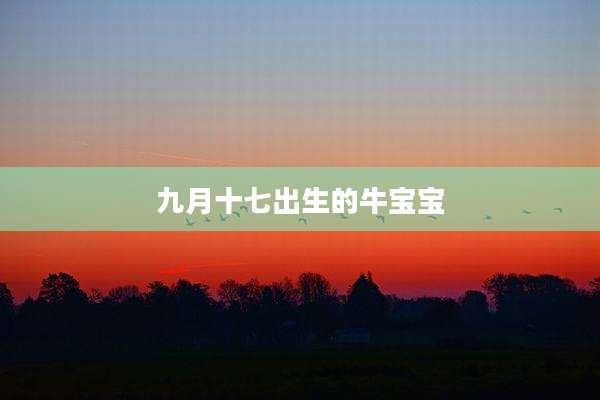 九月十七出生的牛宝宝