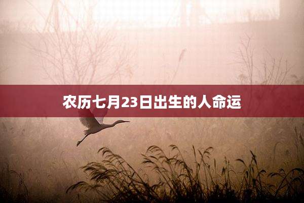 农历七月23日出生的人命运