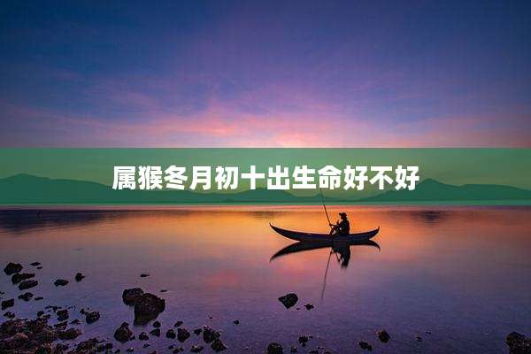 属猴冬月初十出生命好不好