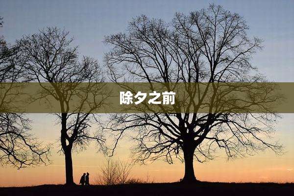 除夕之前
