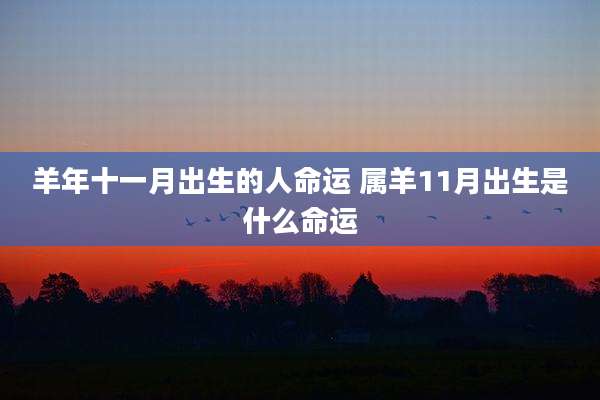 羊年十一月出生的人命运 属羊11月出生是什么命运